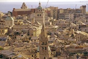 Crane Prints: View of the old city