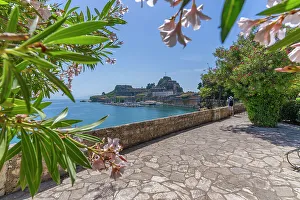 Local Flora Prints: View of Old Fortress of Corfu in Corfu Town