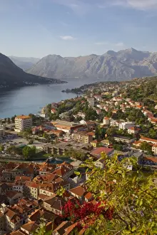 Kotor Prints: View over Old Town from Fortress, Kotor, UNESCO World Heritage Site, Montenegro, Europe