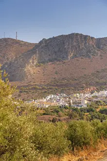 Crete Prints: View of olive trees with mountains and Piskopiano village under clear skies in Crete