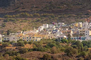 Crete Prints: View of olive trees surrounding Piskopiano village in Crete