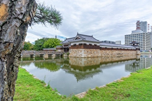 Blossoms Prints: View of Omotegomon (Main Gate) and moat