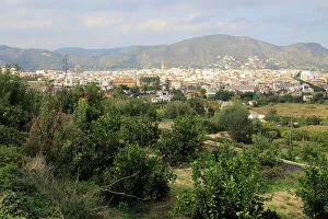 Soller Prints: View over orange trees to town of Pego, Marina Alta, Alicante province, Spain, Europe