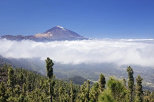National Park Teide Prints: View over Orotava Valley to Pico del Teide