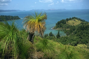 View over Oyster Bay, South Molle Island, Whitsundays, Queensland, Australia, Pacific