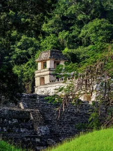 Chiapas Prints: View towards The Palace, Palenque Archaeological Site, Palenque, Chiapas State, Mexico