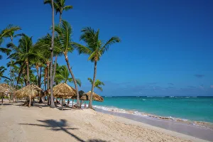 Thatched Roof Prints: View of palm trees on Bavaro Beach
