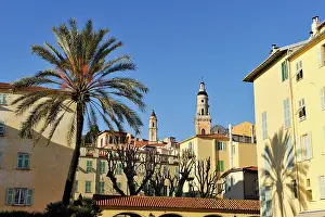 Menton Prints: View of palm trees and buildings under clear sky in Menton