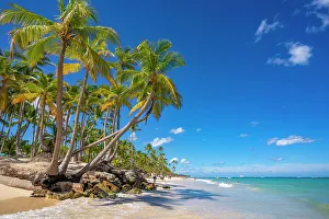Punta Cana Prints: View of palm trees and sea at Bavaro Beach