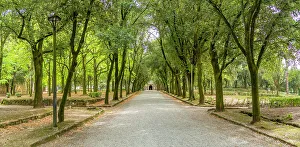 Arezzo Prints: View of Passeggio del Prato, Arezzo, Province of Arezzo, Tuscany, Italy, Europe
