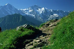 Foot Path Prints: View along path to snow covered summit of the Jungfrau