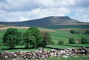 Yorkshire Collection: View of Pen-y-ghent, Ribblesdale, Yorkshire, England, United Kingdom, Europe