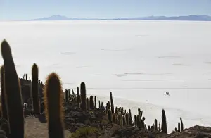 Bolivian Prints: View of people walking on Salar de Uyuni (Salt Flats of Uyuni) from Isla del Pescado (Fish Island)