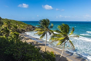 Grenada Prints: View over Petite Anse near Sauteurs