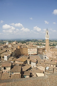 View of the Piazza del Campo and the Palazzo Pubblico