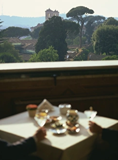 Boy Friend Prints: View over the Pingo Gardens from the Hotel Eden