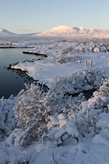 Covering Prints: View towards Pingvallavatn Lake on a clear winters afternoon with the shore and distant mountains covered in snow