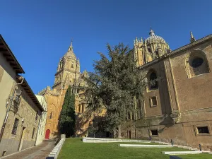 Locals Prints: View from Plaza Leones showing Salamanca's Cathedrals with clear sky above