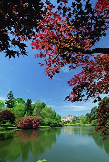 Fall Prints: View across pond to house, Sheffield Park Garden, East Sussex, England