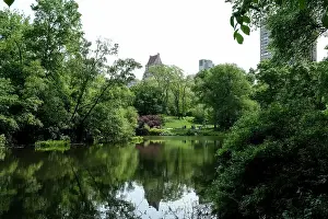 Central Park Prints: View of The Pond, one of seven bodies of water in Central Park located near Grand Army Plaza