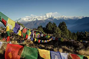 Flag Prints: The view from Poon Hill, 3210m
