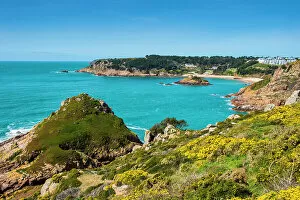 Vegetation Collection: View over Portelet Bay, Jersey, Channel Islands, United Kingdom, Europe