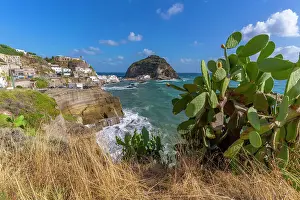 Local Flora Prints: View of prickly pear cactus, cliffs and Torre di Sant'Angelo