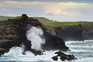 Strength Prints: View of Punta Suarez, Espanola Island