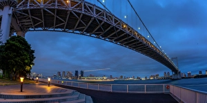 Rainbow Prints: View of the Rainbow Bridge and Koto City in background at dusk
