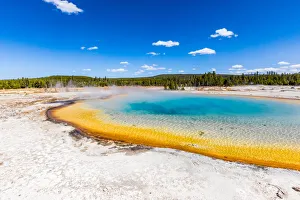 Geothermal Gallery: This was the view from Rainbow Geyser and it is surreal the colors that the different