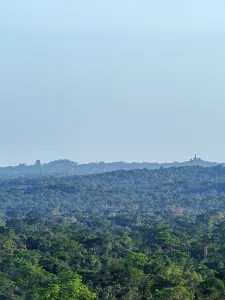 Trekking Prints: View of rainforest with ancient structures in the distance near Tikal in Peten department of Guatemala