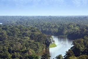 View of rainforest and rivers in Tortuguero National Park, Limon, Costa Rica, Central