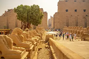 Deserts Prints: View of Ram headed sphinxes leading up to the first pylon at Karnak Temple
