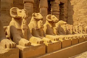 Thebes Prints: View of Ram headed sphinxes leading up to Ramesses III Temple at Karnak Temple