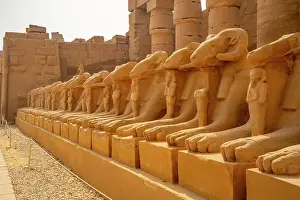 Thebes Prints: View of Ram headed sphinxes leading up to Ramesses III Temple at Karnak Temple