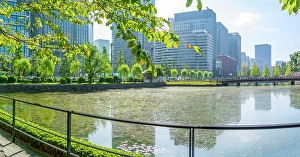 Moat Prints: View of reflections in Wadakura Moat on a sunny day, Chiyoda, Tokyo, Honshu, Japan