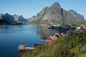 Reine Prints: View over Reine Harbour, Lofoten Islands, Nordland, Norway, Scandinavia, Europe