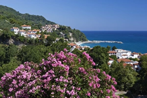 Dayime Prints: View over resort, Agios Ioannis, Pelion Peninsula, Thessaly, Greece, Europe