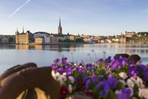 Stockholm Prints: View of Riddarholmen and Sodermalm at dawn from near Town Hall, Stockholm, Sweden