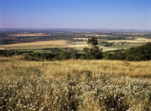 Buckingham Shire Prints: View from the Ridgeway of the Vale of Aylesbury, Buckinghamshire, England