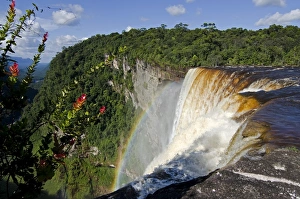 Dense Prints: View across the rim of Kaieteur Falls, Guyana, South America