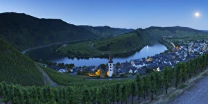 Grapevine Prints: View of River Moselle at dusk, Bremm, Rhineland-Palatinate, Germany, Europe