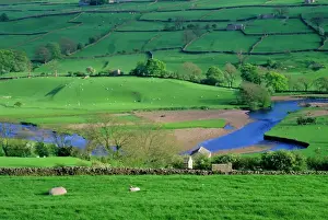 Farm Prints: View to river at Reeth, Swaledale, Yorkshire Dales National Park, Yorkshire