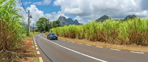 Power Line Prints: View of road leading to Pieter Both near Vallee du Paradis