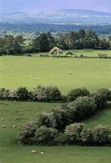 County Tipperary Prints: View from Rock of Cashel
