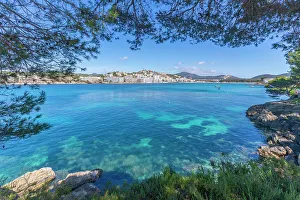 Pine Tree Prints: View of rocky shoreline by turquoise sea and Santa Ponsa