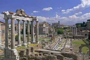 Forum Prints: View across the Roman Forum