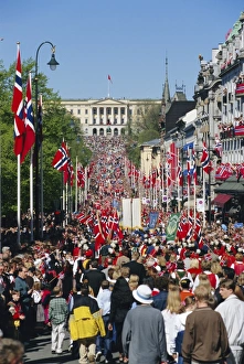 Flag Pole Prints: View to the Royal Palace