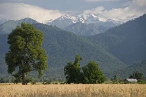Images Dated 25th June 2008: View towards Russian frontier lying along crest of the Caucasus Mountains
