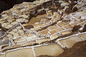 Terrace Prints: View over Salinas de Maras, Sacred Valley, Peru, South America